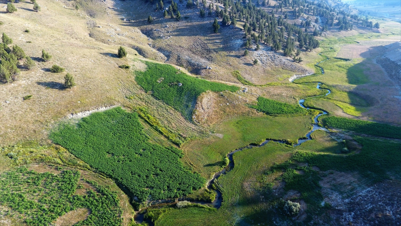 Kahramanmaraş'ta Karadeniz yaylalarını aratmayan görsel şölen