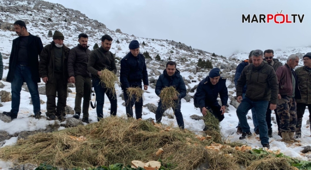 Jandarma doğaya Yem Bıraktı