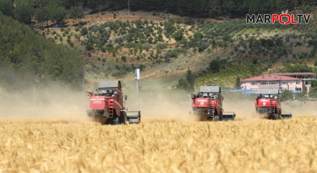 Kahramanmaraş'ta Buğday Hasat Günü etkinliği gerçekleştirildi!