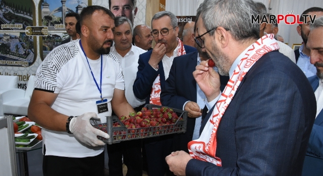 Türkoğlu’nun yayla çilekleri, Kahramanmaraş tanıtım günlerine damgasını vurdu