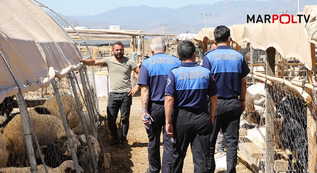 ZABITA EKİPLERİNDEN KURBAN SATIŞ YERLERİNDE DENETİM