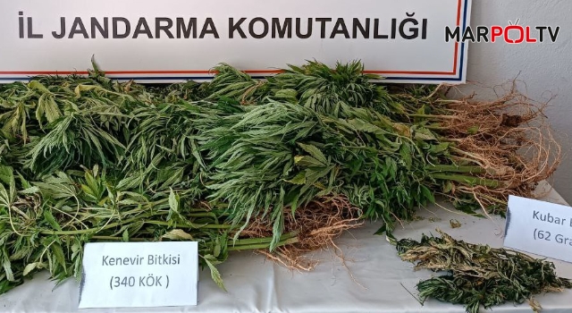 Kahramanmaraş'ta jandarma ekipleri uyuşturucuya geçit vermedi