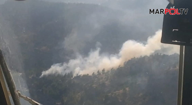 Kahramanmaraş’ta orman yangınına ekiplerden anında müdahale