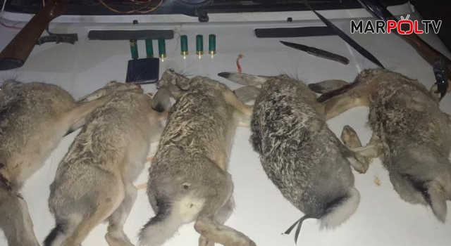 Kahramanmaraş'ta yasa dışı avcılara ceza yağdı
