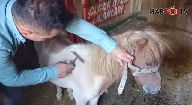 Dulkadiroğlu Mini Hayvanat Bahçesinde Bakım Çalışması Yapıldı