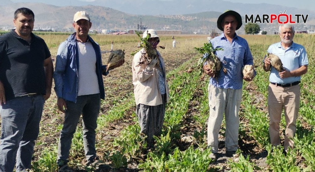 Kahramanmaraş’ta 14 bin 500 ton şeker üretildi