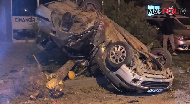 Elbistan’da ağaca çarpan otomobil sürücüsü ağır yaralandı