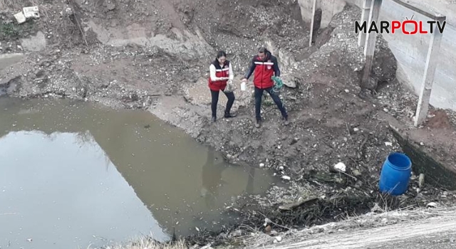 Kahramanmaraş'ta balık ölümlerinin nedeni belli oldu