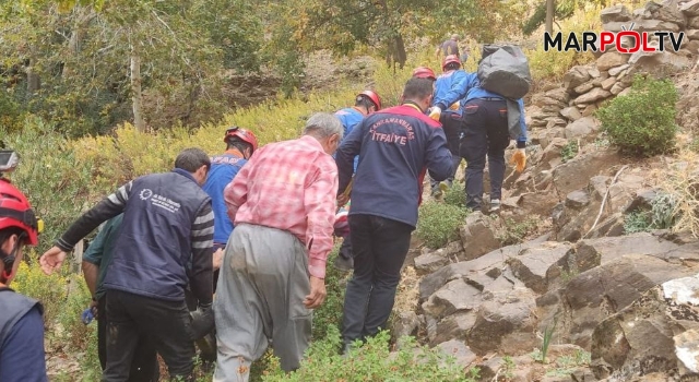 Kahramanmaraş’ta zeytin toplamak için çıktığı kayalıklardan düşen yaşlı adam öldü