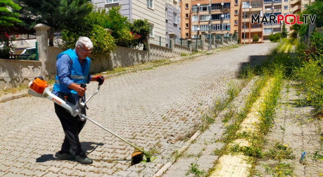 Onikişubat’ta yabani otlar temizleniyor, sokaklar estetik bir görünüme kavuşuyor