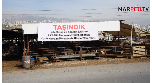 Adaklık Satış Merkezi Canlı Hayvan Borsası’na Taşınıyor