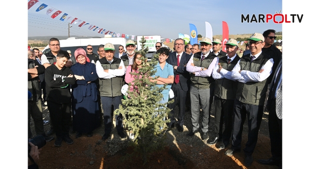 Milli Ağaçlandırma Günü’nde Binlerce Fidan Toprakla Buluşturuldu