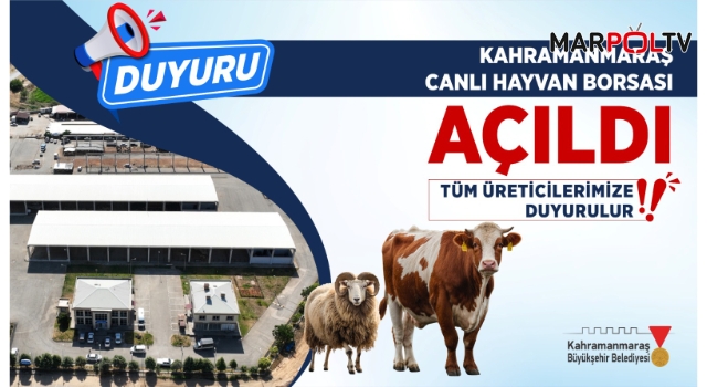 Canlı Hayvan Pazarı Açıldı