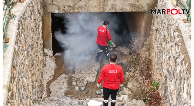 Büyükşehir, Vektör Zararlılara Karşı Kışlak İlaçlamanın Startını Verdi