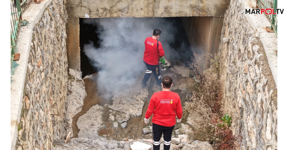 Büyükşehir, Vektör Zararlılara Karşı Kışlak İlaçlamanın Startını Verdi
