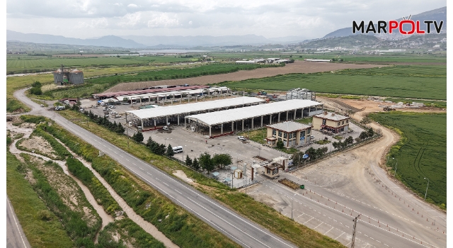 Canlı Hayvan Borsası Kurban Bayramı’na Hazır; Kurbanlık Satışları Başlıyor
