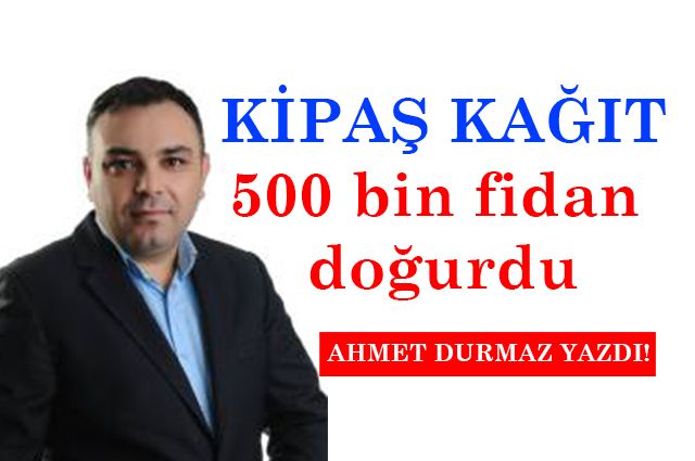 KİPAŞ KAĞIT 500 bin fidan doğurdu