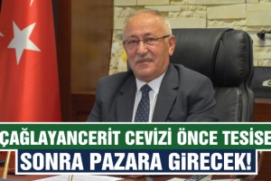 Çağlayancerit Cevizi Önce Tesise Sonra Pazara Girecek!