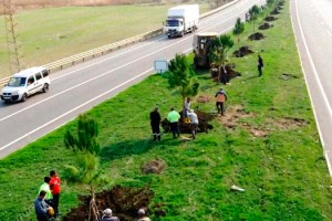 Türkoğlu Belediyesi, fidan dikim çalışmalarına devam ediyor