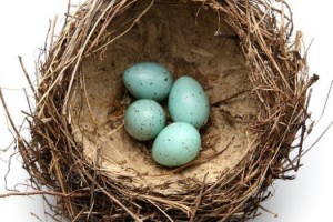 Mavi yumurta nedir? Mavi yumurtanın faydaları