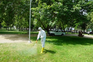 Zararlılarla Mücadelede “Kene” Mesaisi