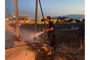 Kahramanmaraş izmarit yangını korkuttu