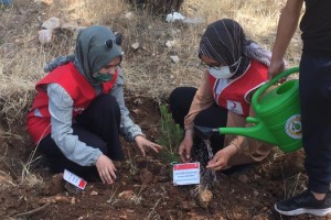 Kahramanmaraş’ta şehitlerin adı fidanlarla yaşayacak