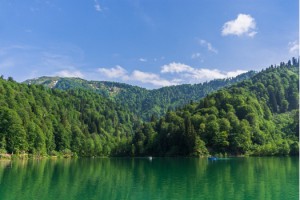 Sağlıklı Bir Çevre Hepimizin Ortak Geleceği