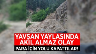 YAVŞAN YAYLASINDA AKIL ALMAZ OLAY PARA İÇİN YOLU KAPATTILAR!