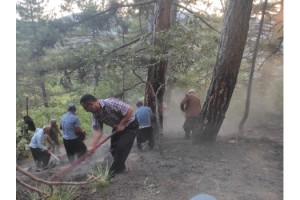Kahramanmaraş’ta orman yangını: 14 dönüm alan zarar gördü