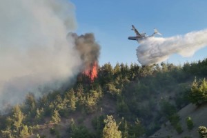 Kahramanmaraş’ta yangın söndürme uçağı düştü