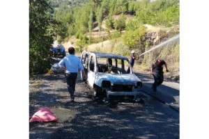 Seyir halinde alev alan araç orman yangına neden oldu