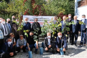 ANDIRIN’DA CEVİZ FİDANI DAĞITIM TÖRENİ DÜZENLENDİ