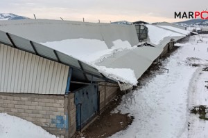 Kahramanmaraş’ta besi ahırlarının çatısı çöktü hayvanlar telef oldu