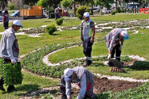 Büyükşehir Belediyesi, mevsimlik çiçek dikimi gerçekleştiriyor