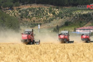 Kahramanmaraş'ta Buğday Hasat Günü etkinliği gerçekleştirildi!