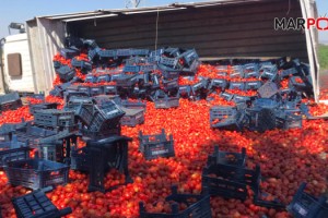 Kahramanmaraş’ta domates yüklü kamyon devrildi: 1 yaralı