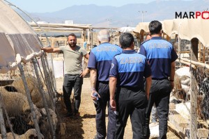 ZABITA EKİPLERİNDEN KURBAN SATIŞ YERLERİNDE DENETİM