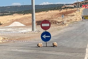 Cimikanlı’daki Sorunu Büyükşehir Çözüyor