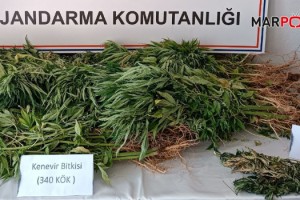 Kahramanmaraş'ta jandarma ekipleri uyuşturucuya geçit vermedi