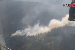 Kahramanmaraş’ta orman yangınına ekiplerden anında müdahale