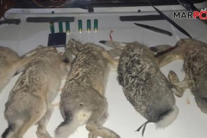 Kahramanmaraş'ta yasa dışı avcılara ceza yağdı