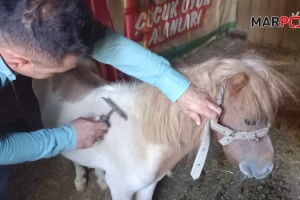 Dulkadiroğlu Mini Hayvanat Bahçesinde Bakım Çalışması Yapıldı