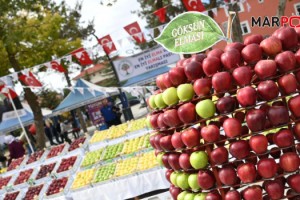 Göksun 8. Elma Festivali Yoğun İlgi Gördü