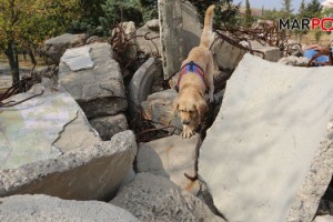 Kahramanmaraş'ta 6,1 Büyüklüğünde Deprem Tatbikatı Yapıldı