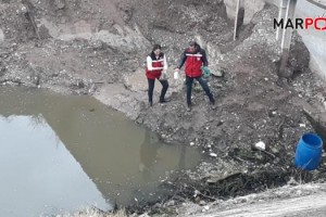 Kahramanmaraş'ta balık ölümlerinin nedeni belli oldu