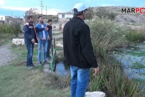 Kahramanmaraş’ta nilüfer çiçekleri tehdit altında