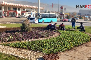 Büyükşehir, Kent Estetiği İçin Sahada