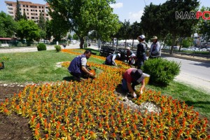 Kahramanmaraş Çiçek Açıyor