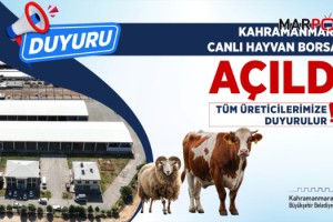 Canlı Hayvan Pazarı Açıldı